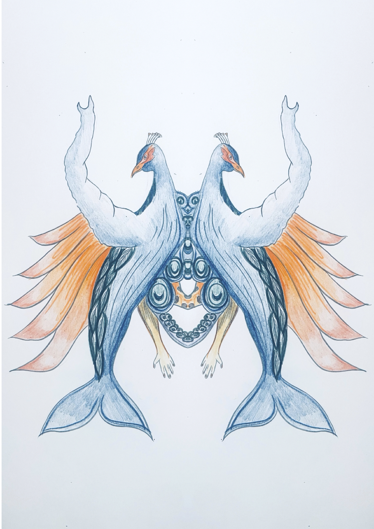 Drawing of mirrored creature with wings and tails