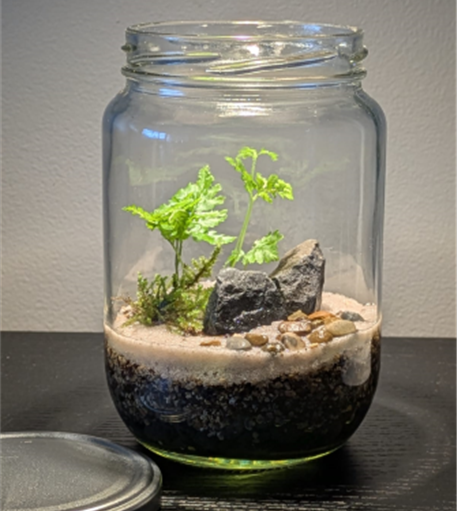 A glass jar with soil, sand, rocks and green leaves.