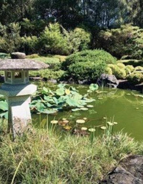 Japanese Lantern Beside the Pond