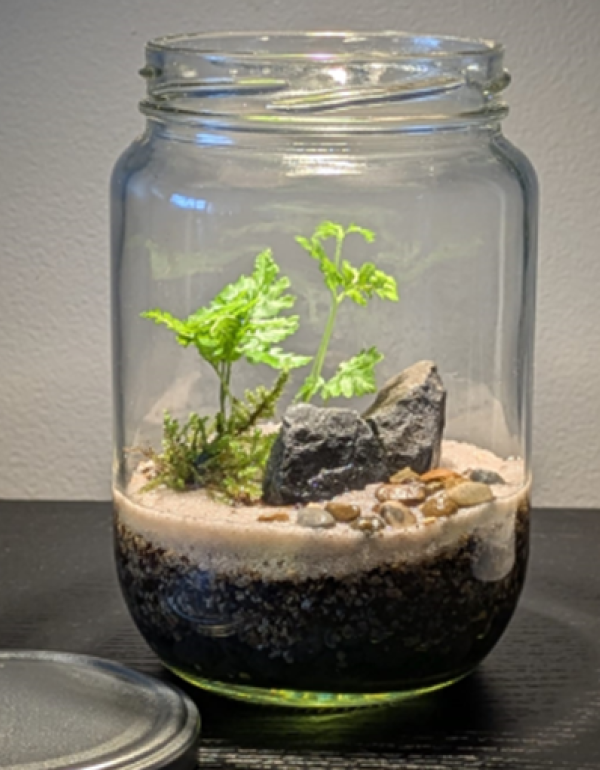 A glass jar with soil, sand, rocks and green leaves.