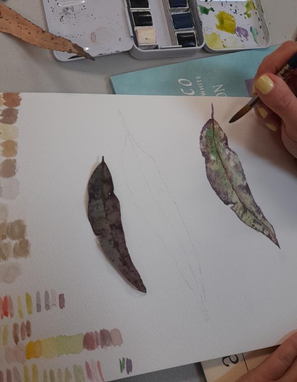 Introduction to Watercolours - Beginners