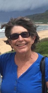 A woman in a blue blouse standing at the beach