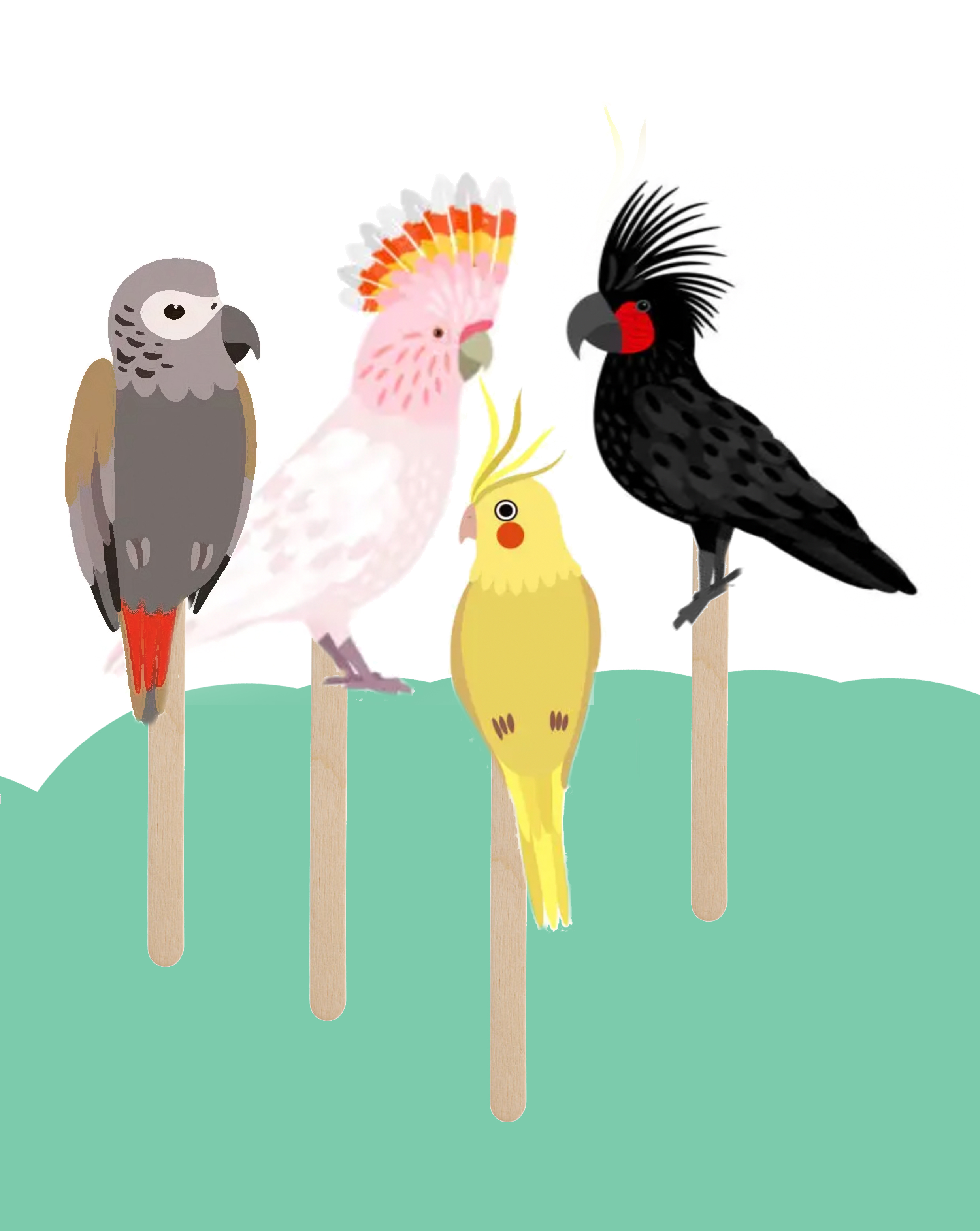 Australian bird puppets on paddlepop sticks