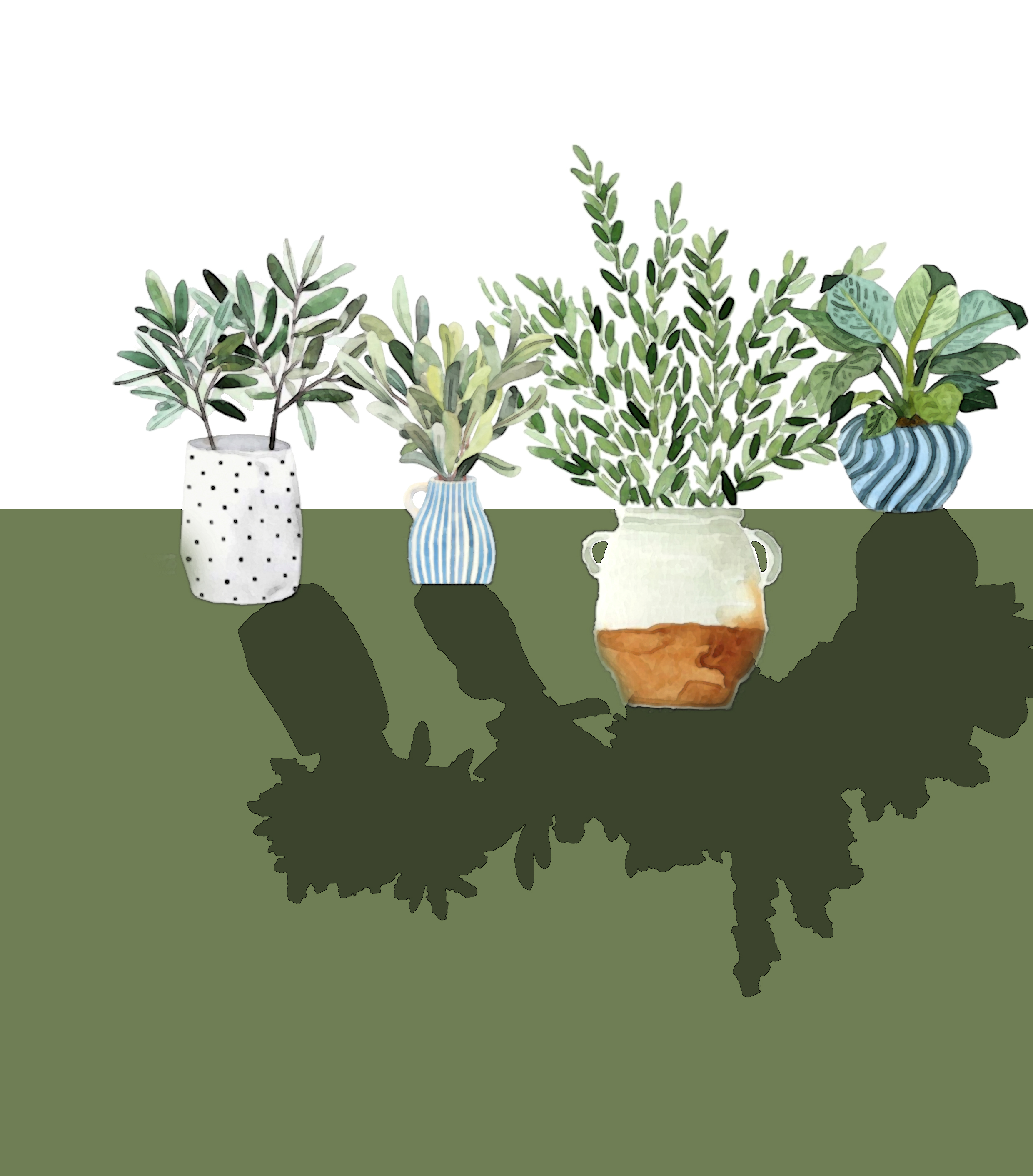 vases and flowers 