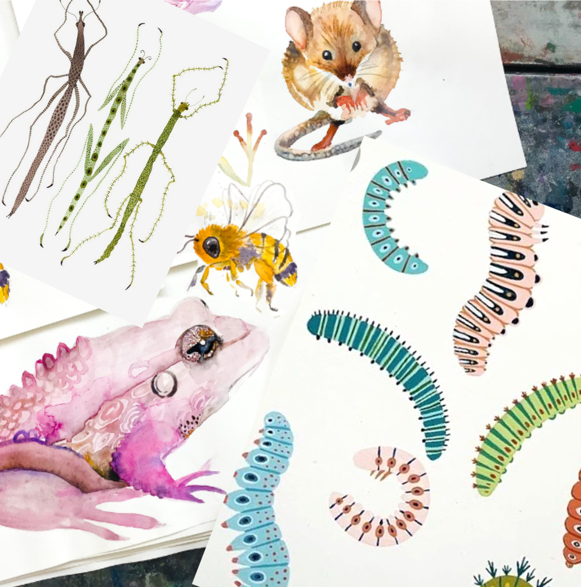 Drawing of a pink frog, worms and a moth