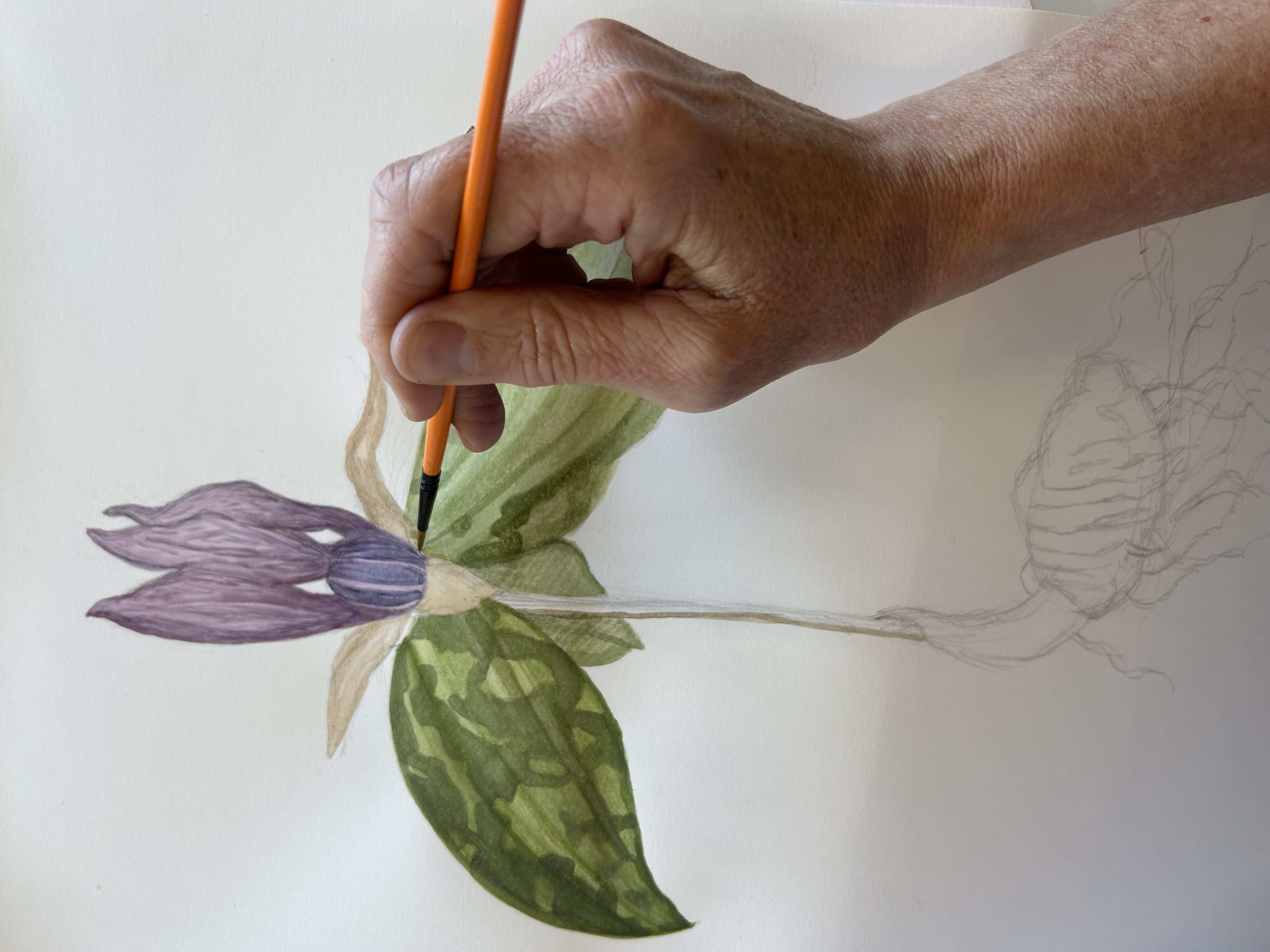 Hand painting flower