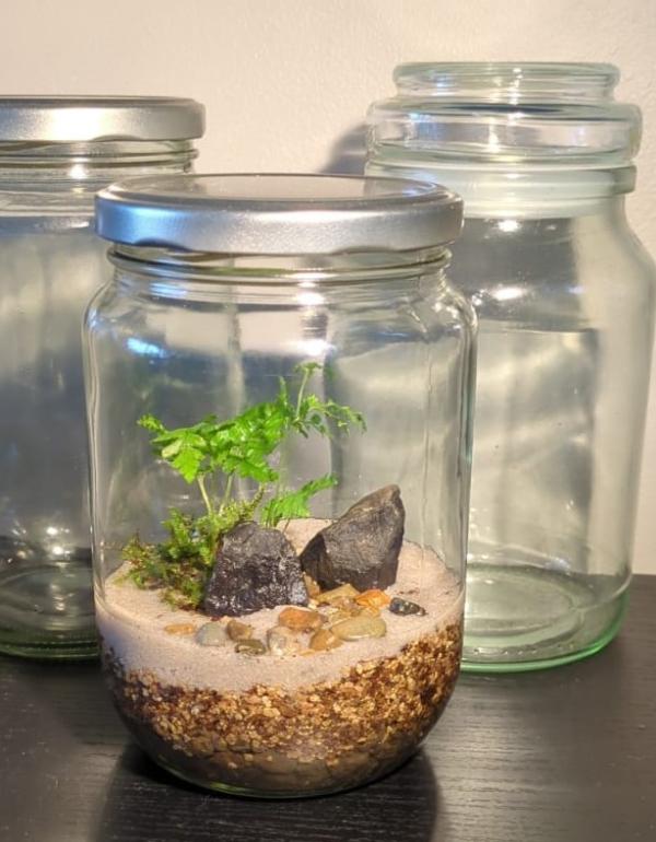 Japanese Terrarium