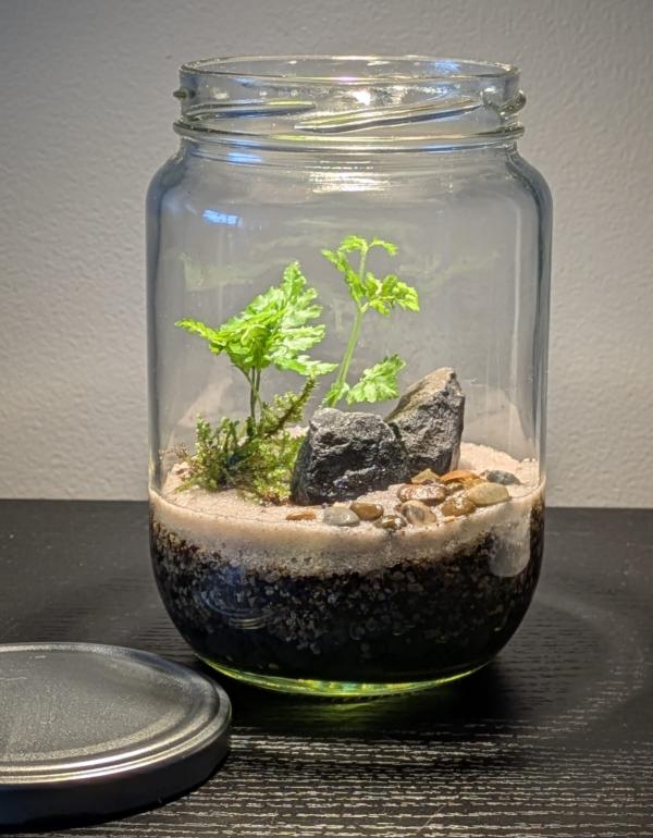 Japanese Terrarium