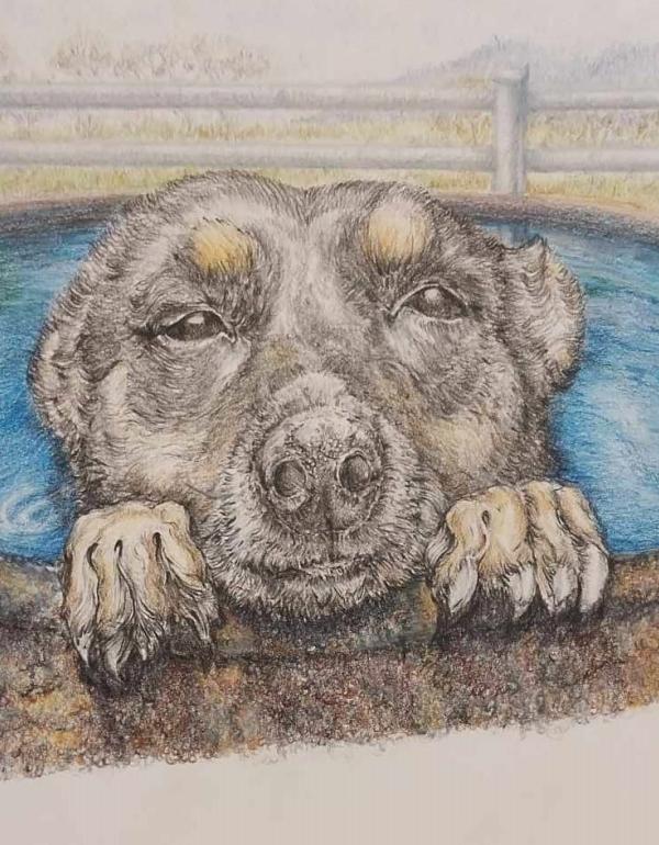 A drawing of a dogs face