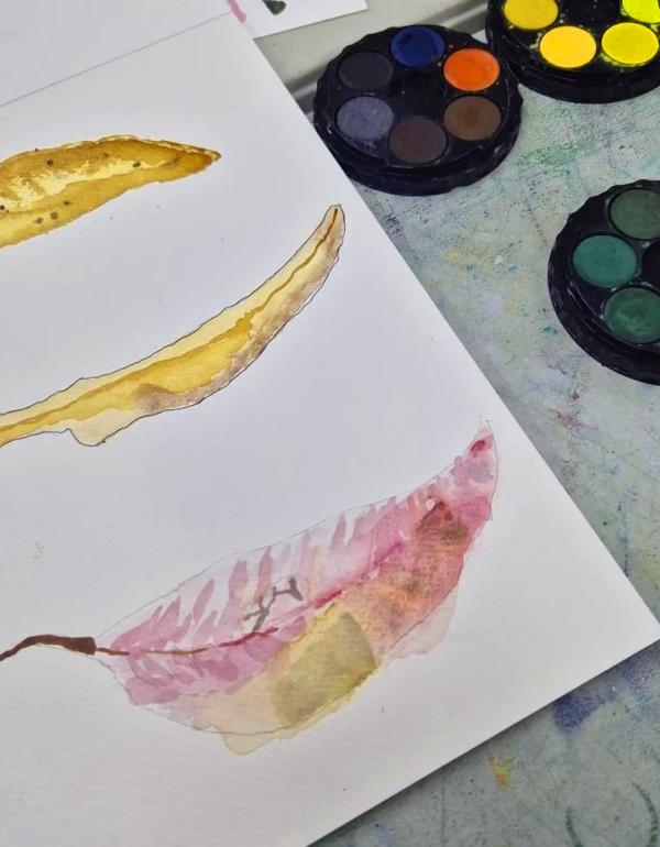 Watercolour of gum leaves