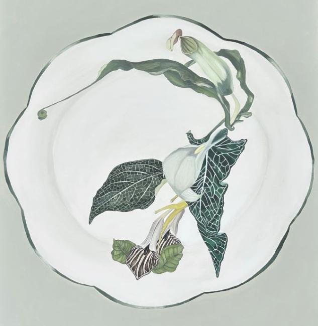 A porcelain plate with a botanical illustration