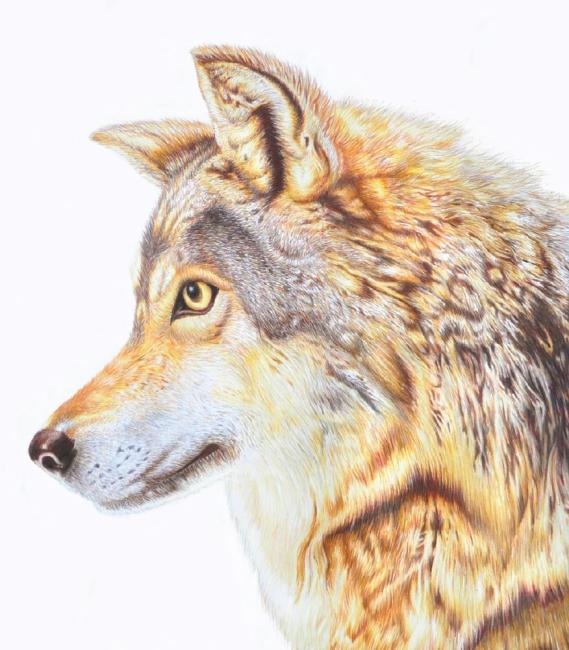 Painting of a dog or wolf